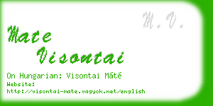 mate visontai business card